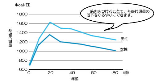 量 基礎 平均 代謝 【男女別】基礎代謝の平均値を年齢ごとに徹底調査！計算方法も解説