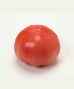 トマト 果実 生